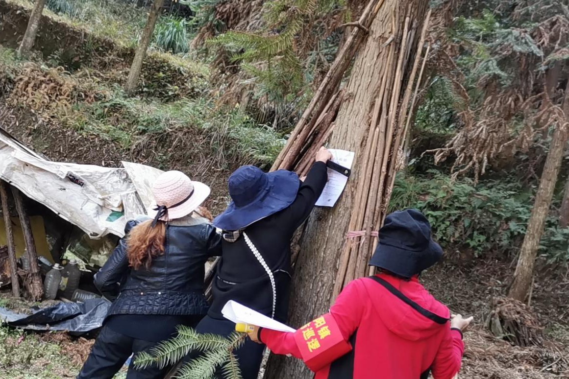 卢阳镇云善村：“疫情防控 森林防火”志愿者们在行动